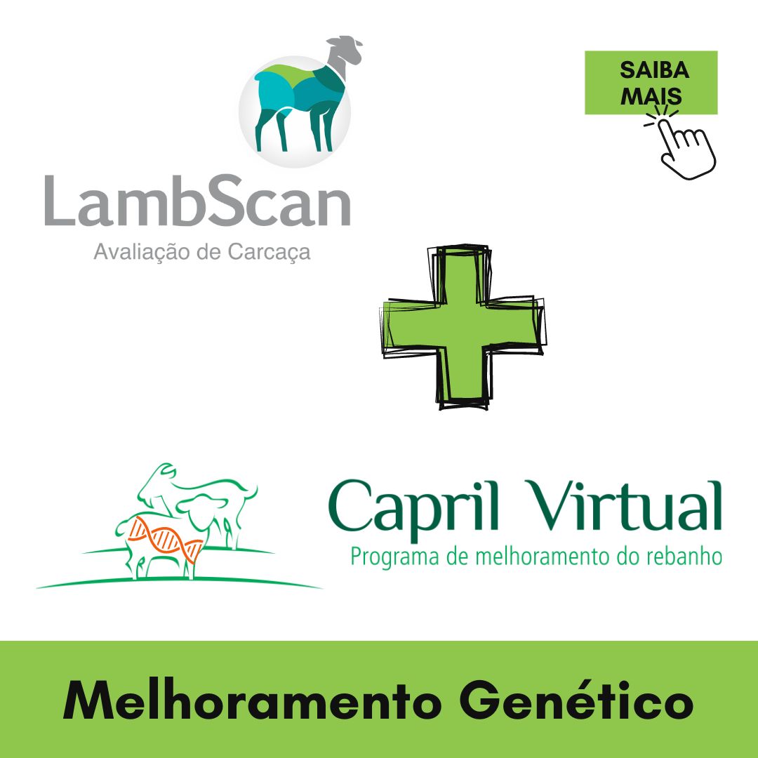 LambScan e ProAGO