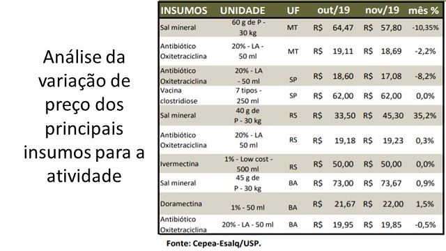 Carcaças ovinas em abatedouro