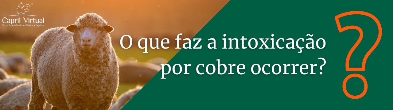 O que faz a intoxicação por cobre ocorrer?