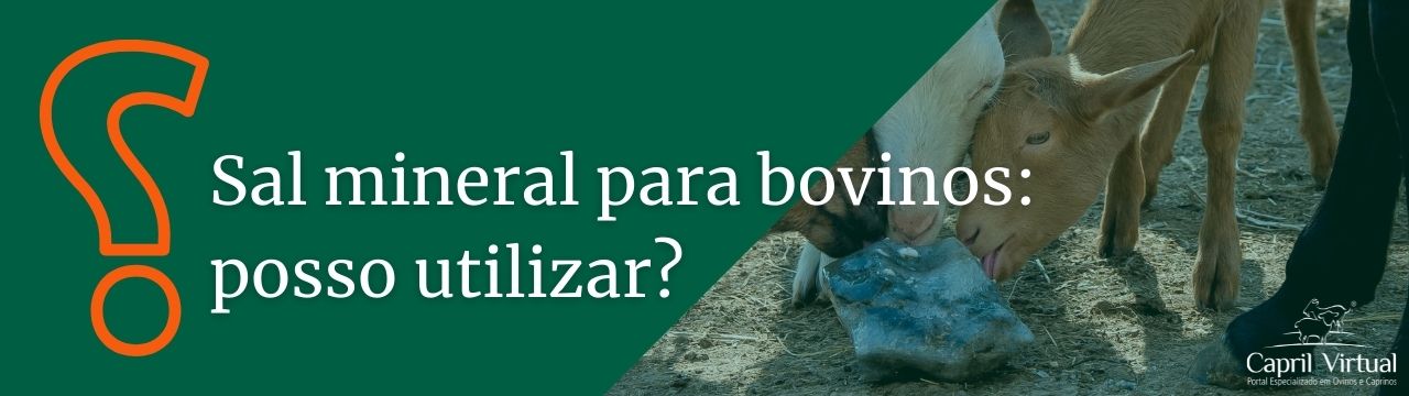 Sal mineral para bovinos - posso  utilizar? 