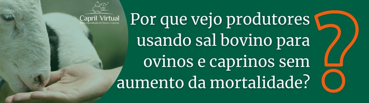 Por que vejo produtores usando sal bovino para ovinos e caprinos sem aumento da mortalidade?