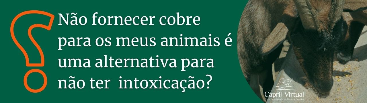 Não vou fornecer cobre para os meus animais para não ter risco de intoxicação. Consigo fazer isso? 